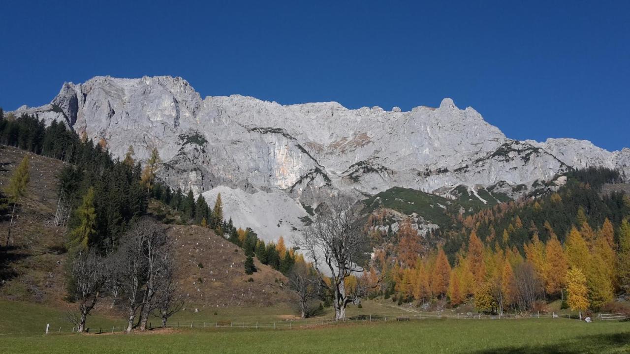 Hotel Neuwirt Ramsau am Dachstein Dış mekan fotoğraf
